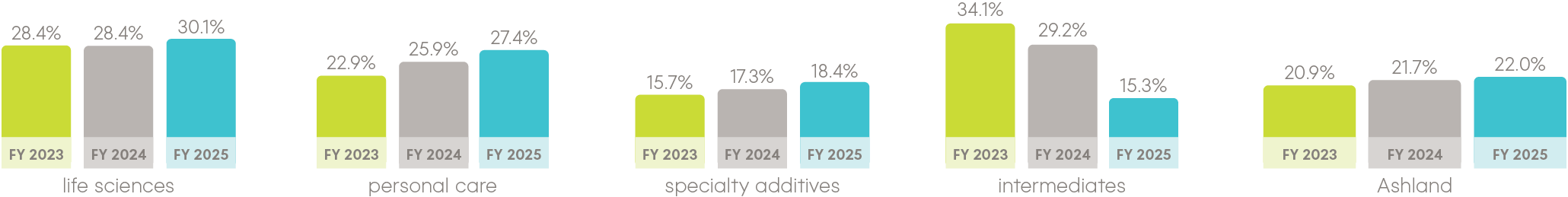Capital return for adjusted EBITDA margin